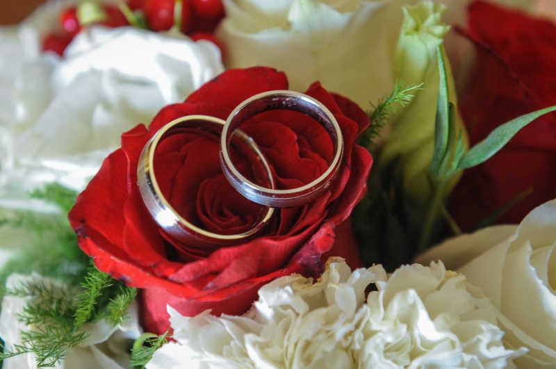 结婚戒指与玫瑰