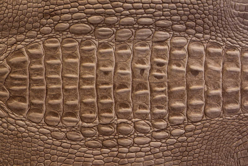 皮革鳄鱼皮纹理背景