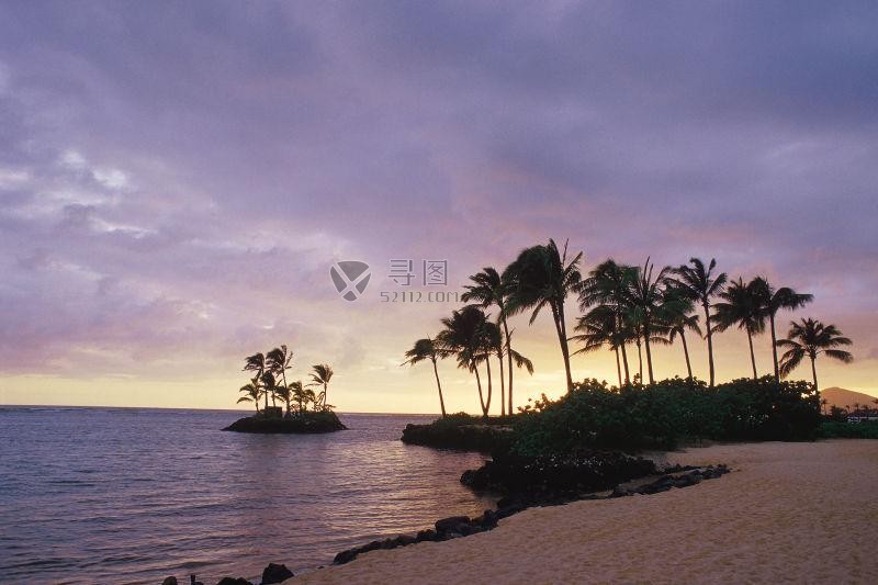 日落时分长着棕榈树的热带海滩
