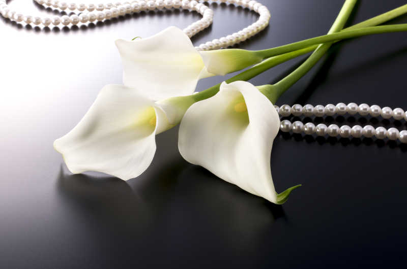黑色背景中的白合花和珍珠链