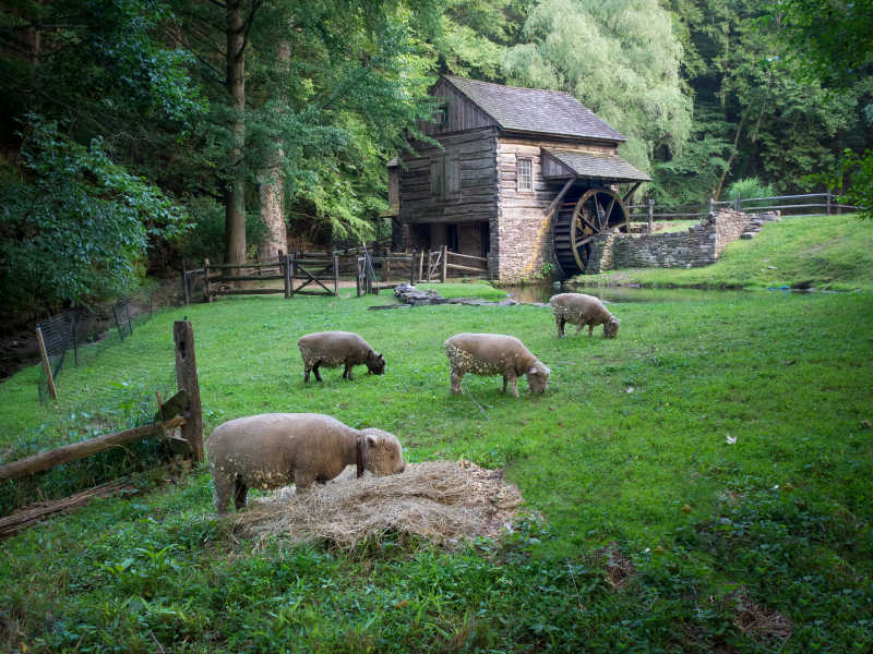 羊牧场和旧木磨坊