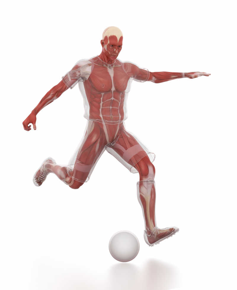 白色背景下足球运动时男子肌肉解析