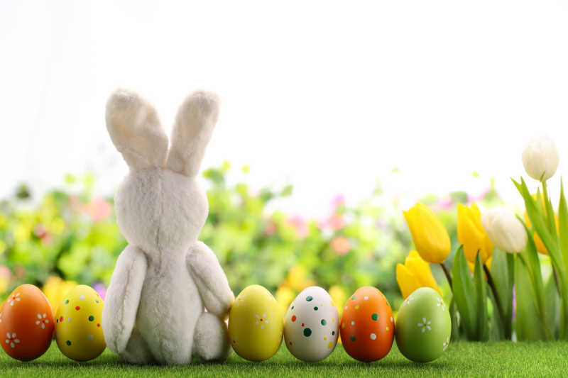 一排复活节彩蛋和一个小兔子