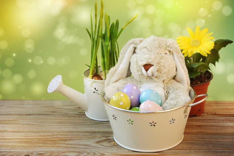 小兔子抱着复活节彩蛋