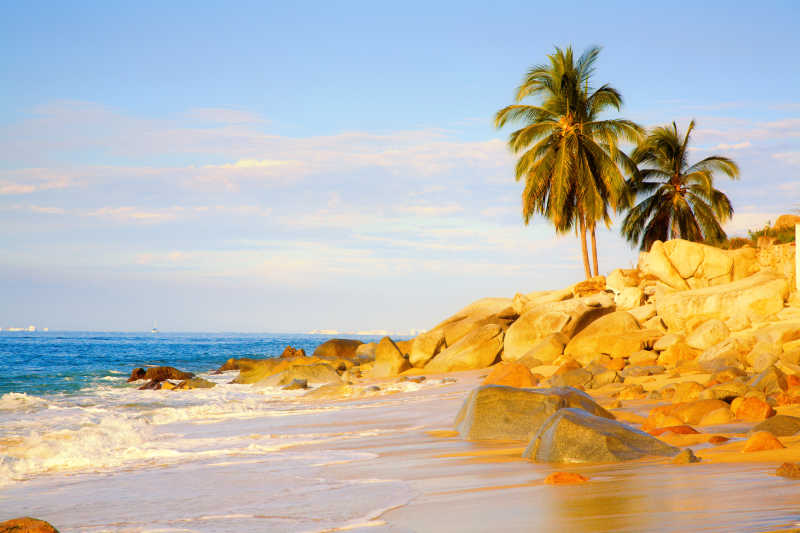 岩石海滩棕榈树
