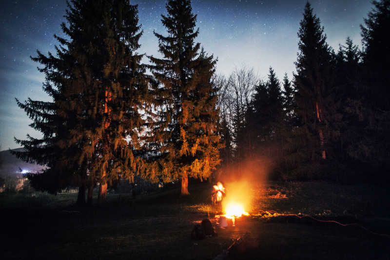 夜间森林边上的篝火