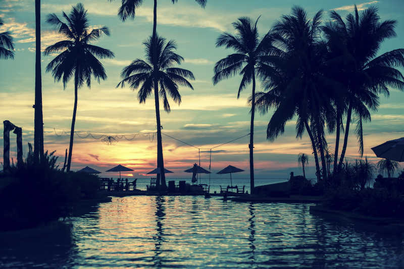 海滩黄昏下的棕榈树