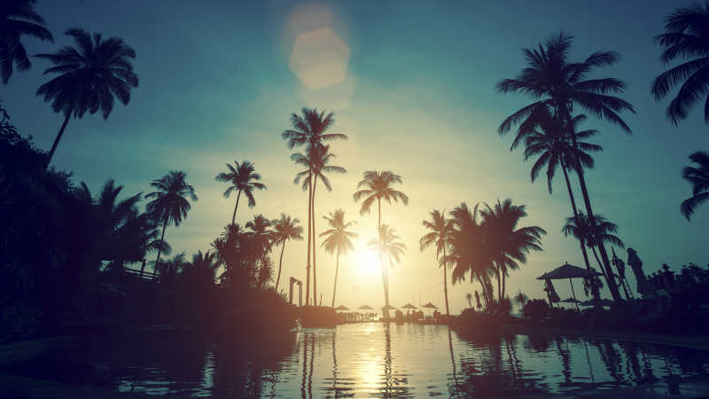 海滩日落下的棕榈树剪影