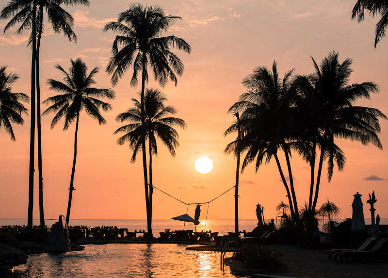 日落海滩下的棕榈树