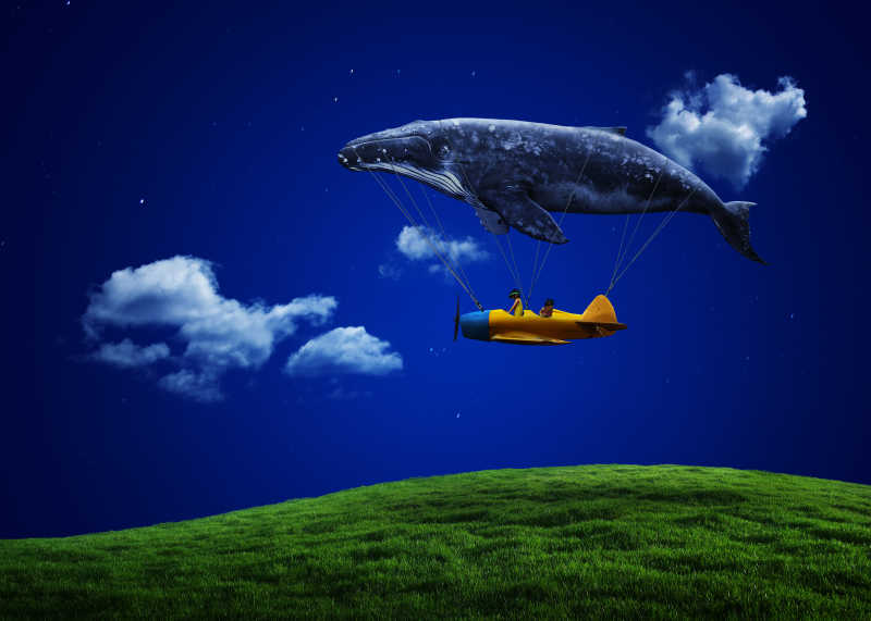 夜空中鲸鱼带着飞机旅行想象剪影