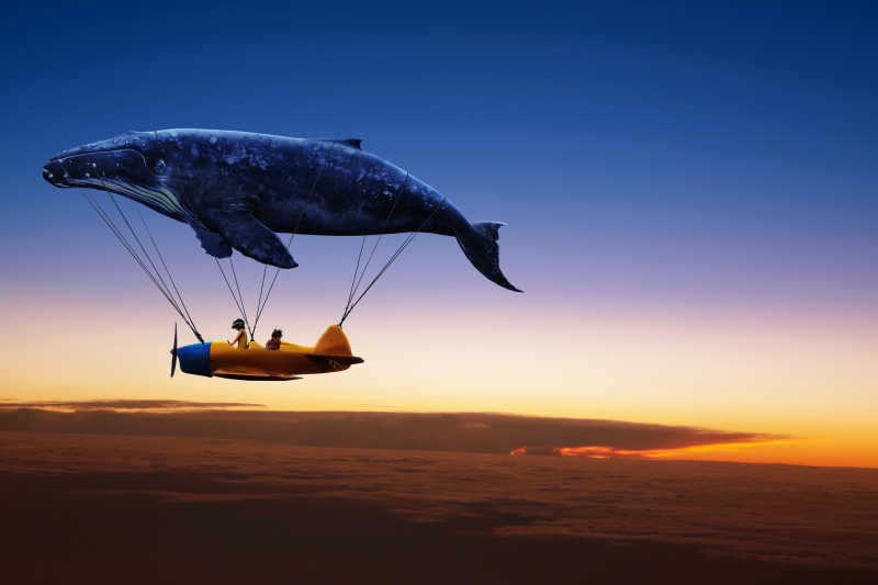 黄昏鲸鱼带着飞机旅行想象剪影