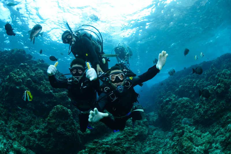珊瑚区潜水的潜水员