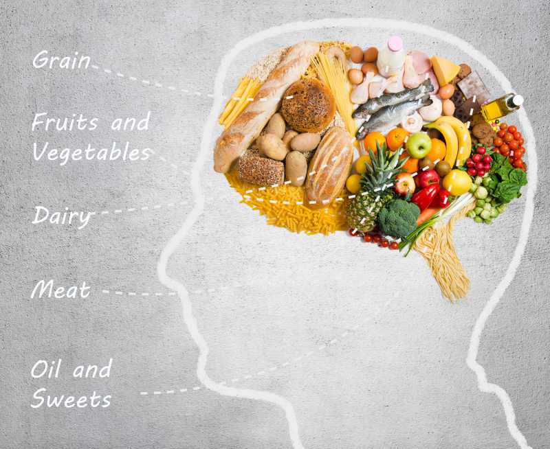关于大脑中食物的概念图