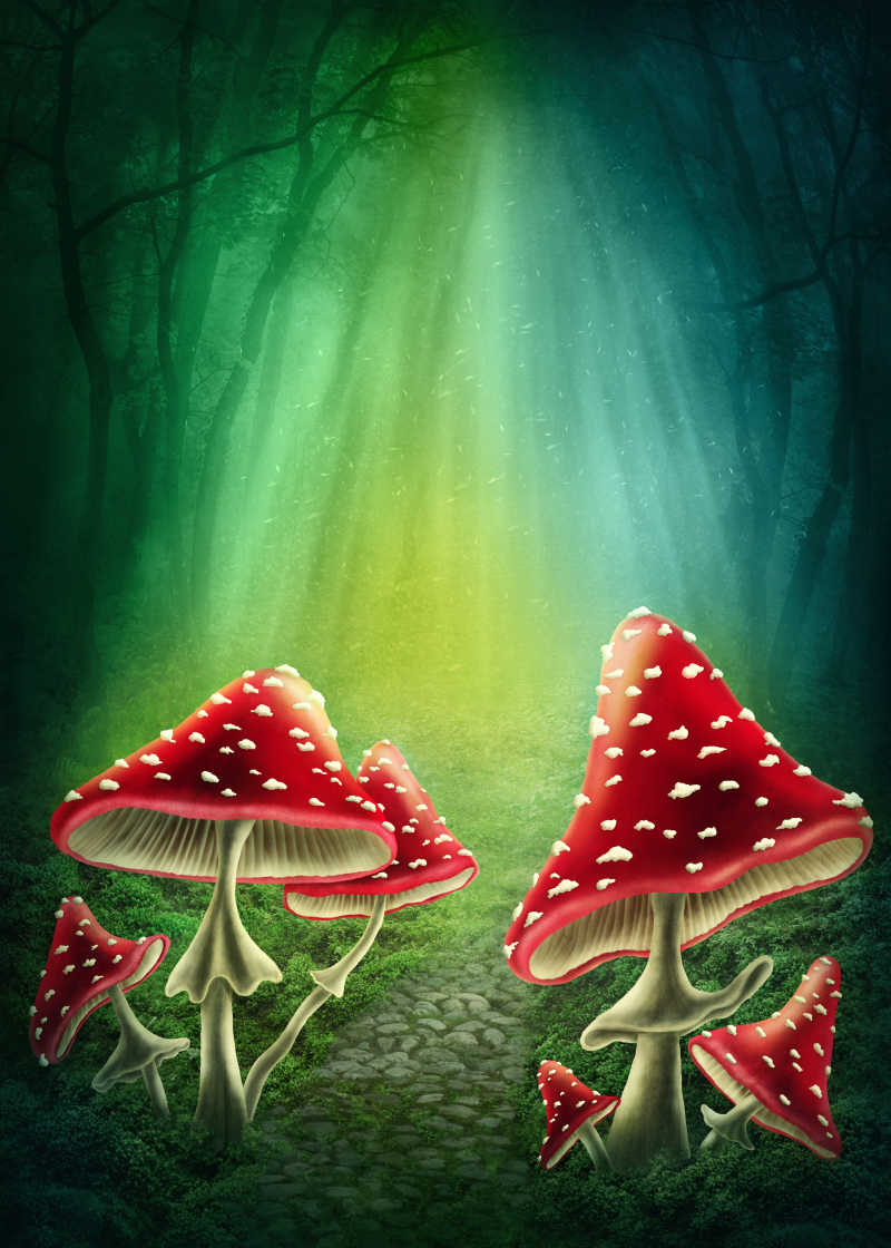 魔法黑暗森林中的红蘑菇