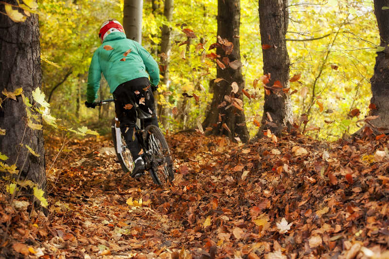 秋天树林里骑自行车的人