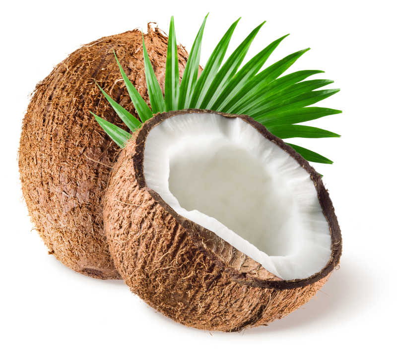 新鲜的椰子