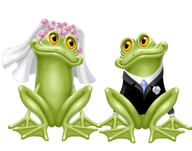 白色背景下穿着婚纱婚服结婚的两只青蛙插画