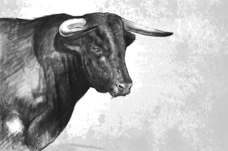 肃穆的公牛插画