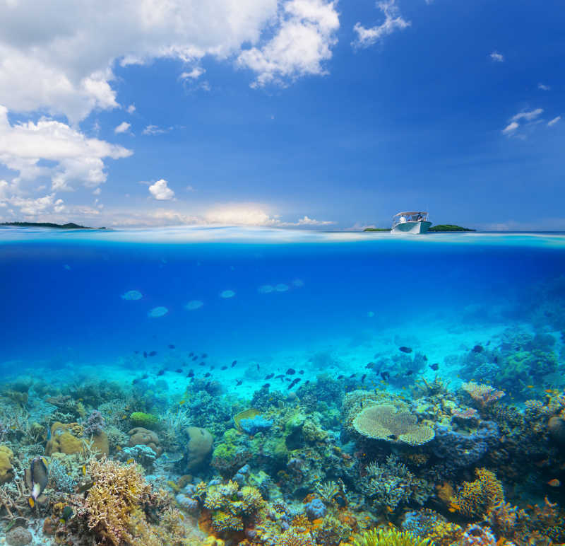 蓝天下美丽的珊瑚礁