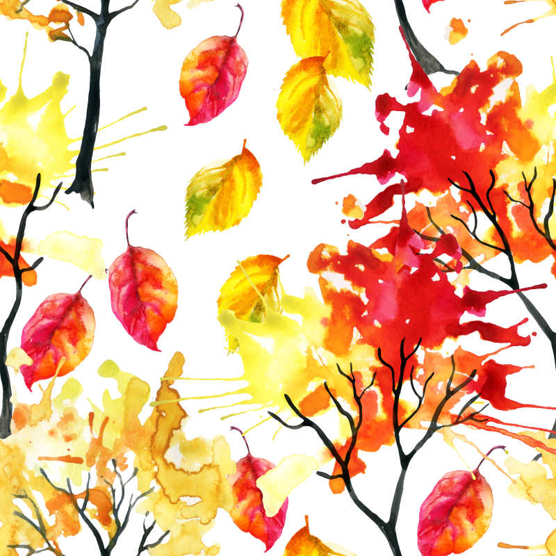 精美的秋季树叶水彩画