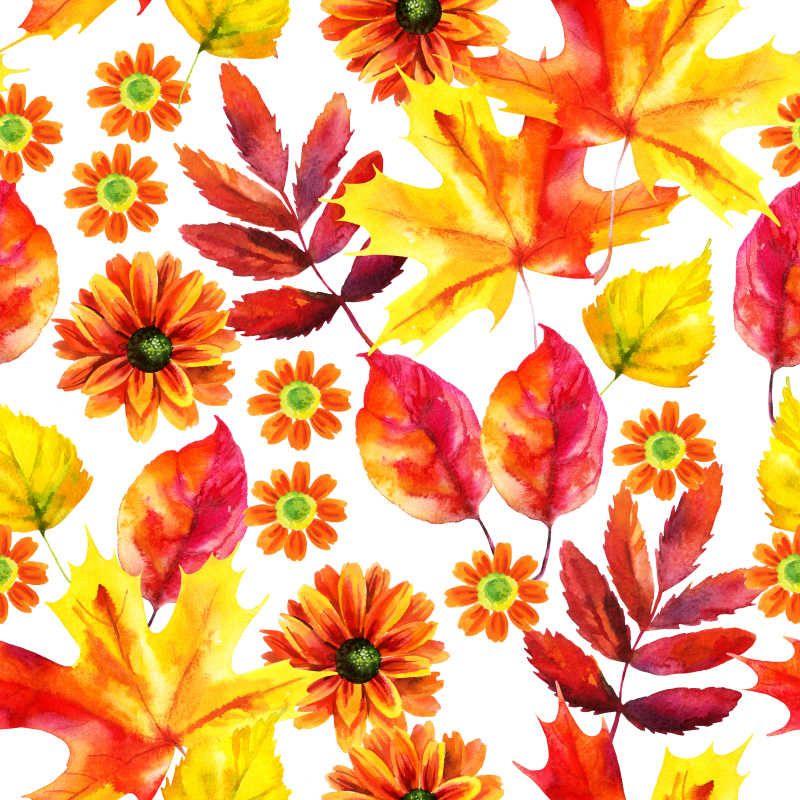 秋季水彩树叶与花