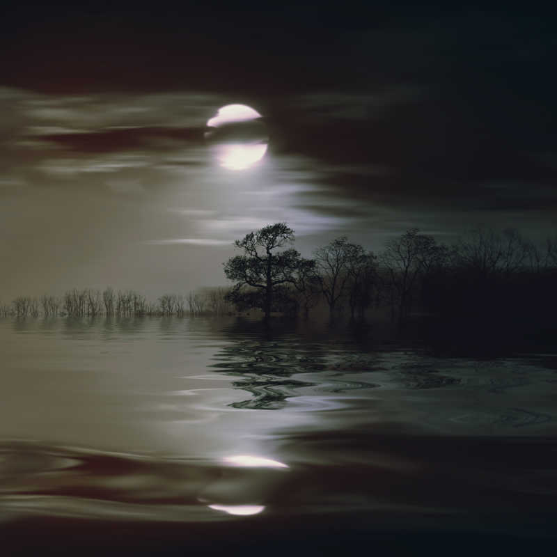 夜晚黑暗孤寂的江河和圆月