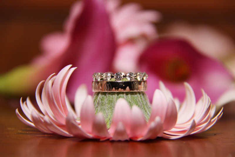 戒指放在粉色花朵里面