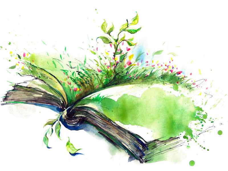 鲜花和草在开着的书里生长的插画