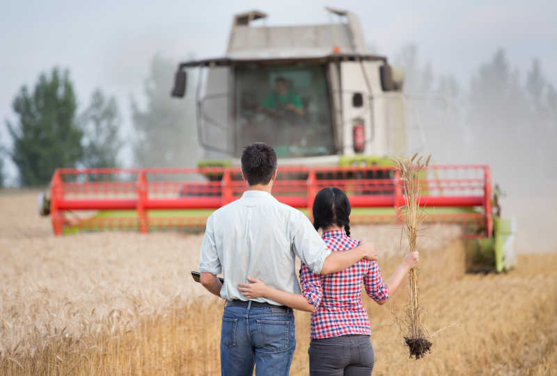 年轻情侣站在田间看收割农作物