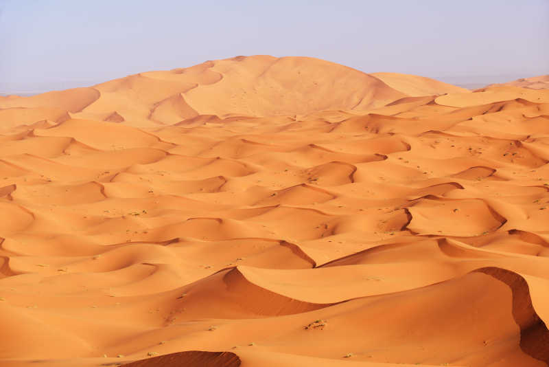 撒哈拉沙漠干旱的沙丘
