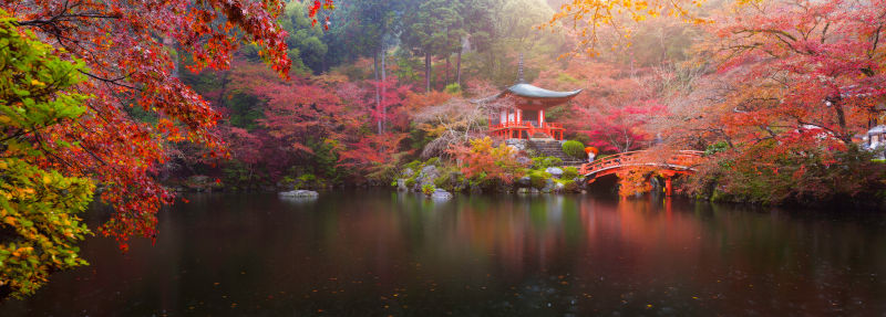 日本秋景