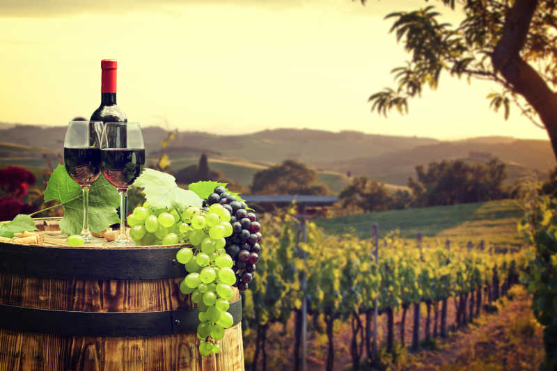 托斯卡纳绿色葡萄园背景前的酒桶和新鲜葡萄酒