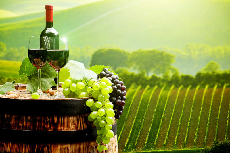 绿色葡萄园背景前的葡萄酒桶和红酒