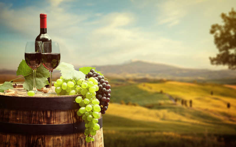 意大利托斯卡纳绿色葡萄园背景前的红酒桶和新鲜葡萄