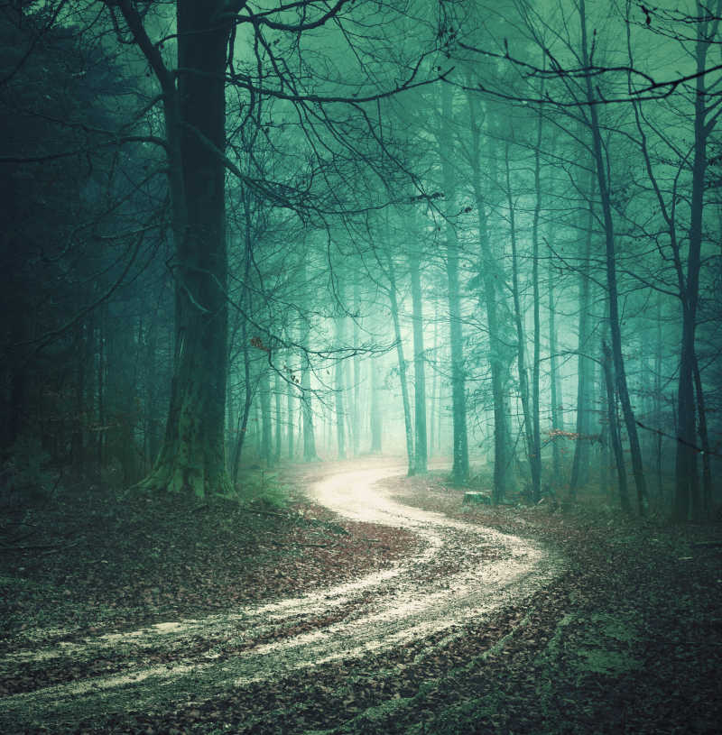 神秘背景下的森林道路