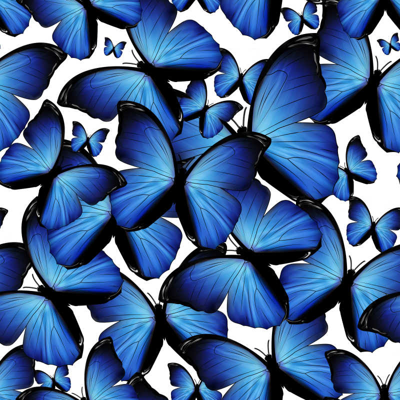 无缝式蓝色化蝶