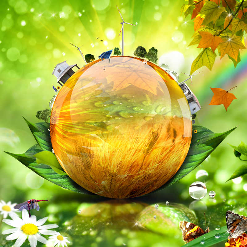 绿色世界概念的圆球和树叶