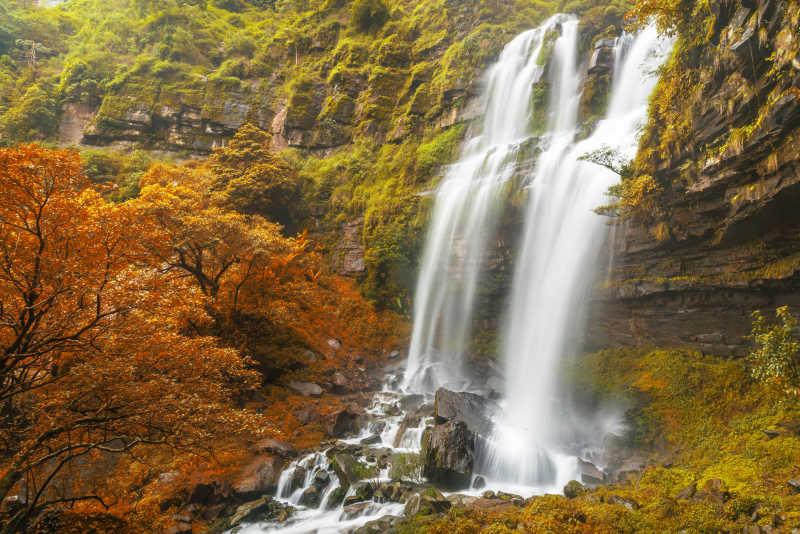 秋季森林深处的美丽的大瀑布