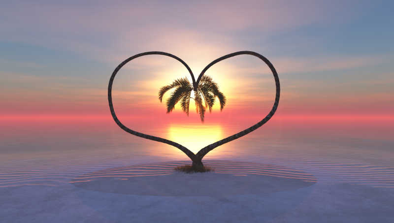 落日时分热带海滩上的一个树形成的爱心