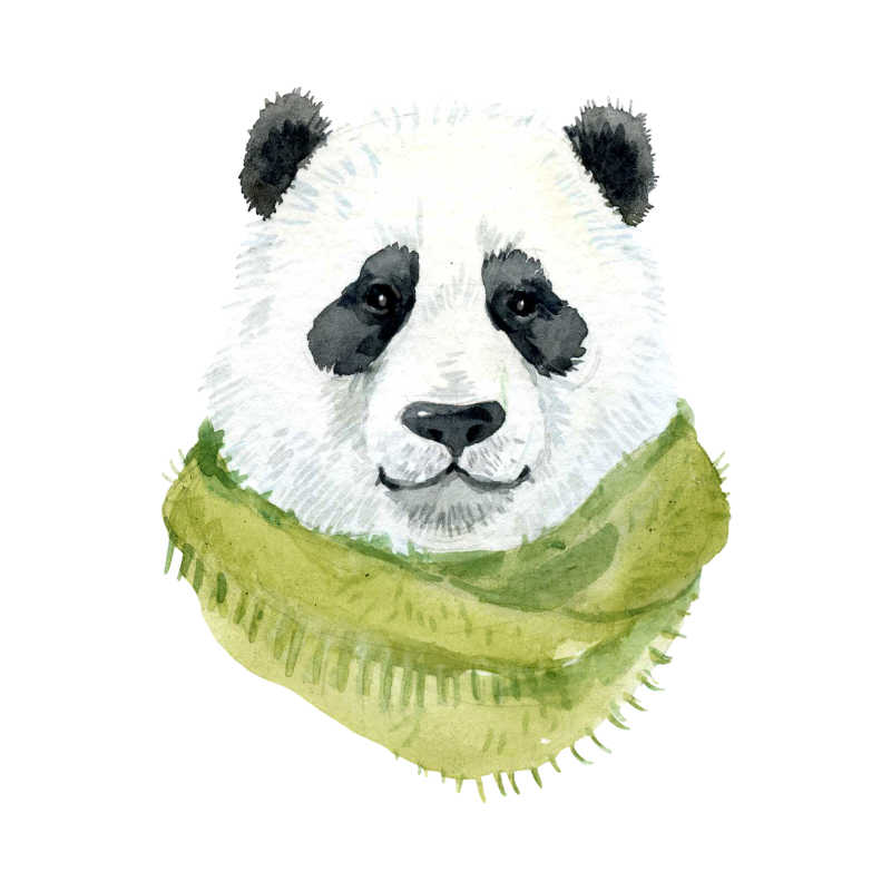 白色背景上戴着围巾的插画熊猫