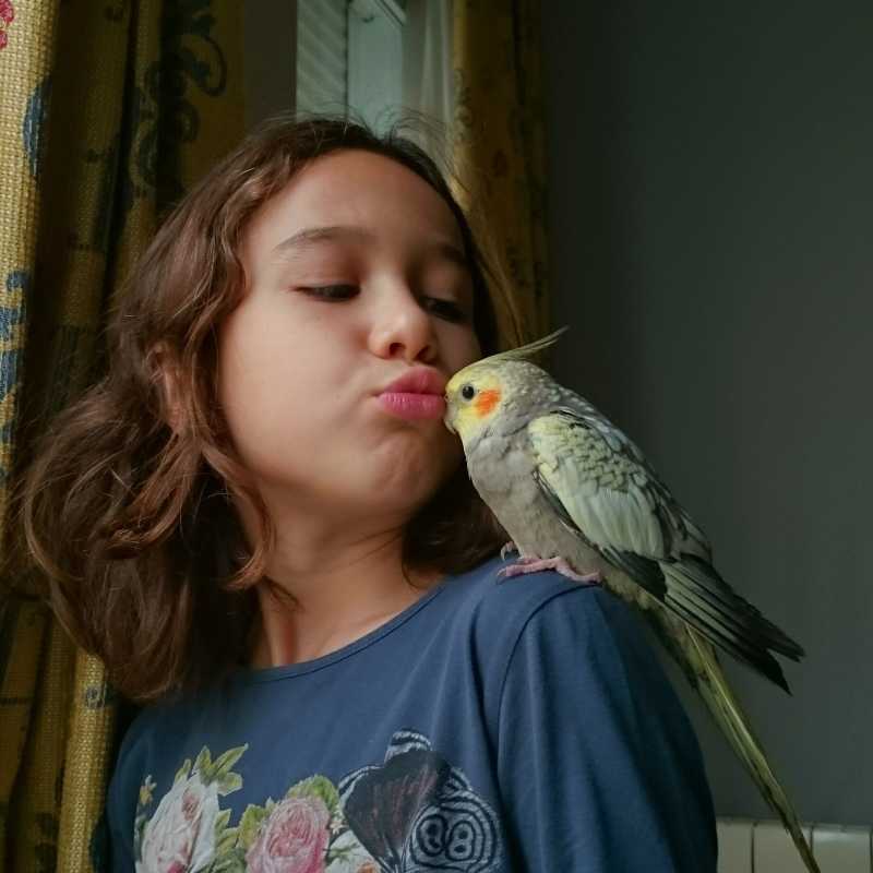 小女孩和鹦鹉