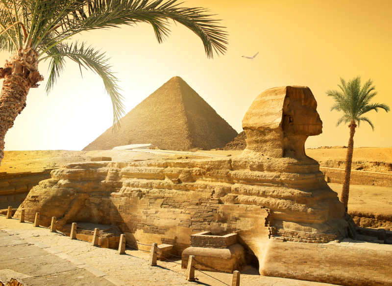 狮身人面像附近棕榈和埃及沙漠金字塔