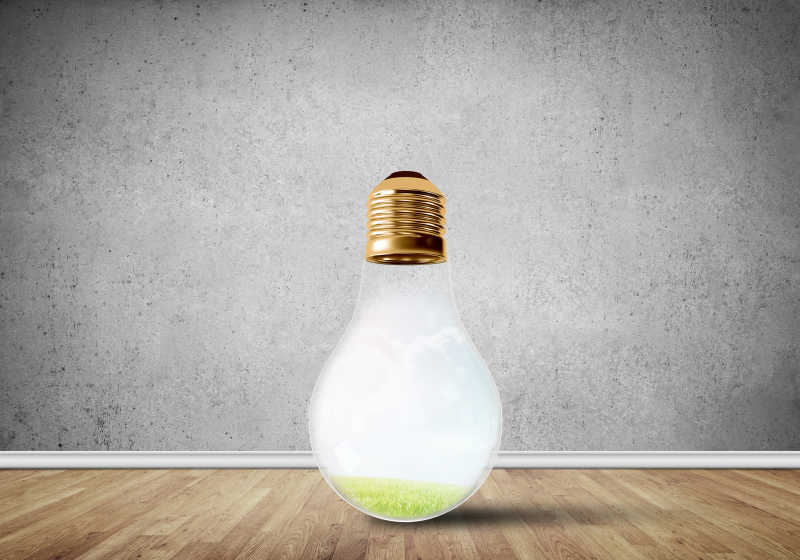 放在室内的生态概念的灯泡