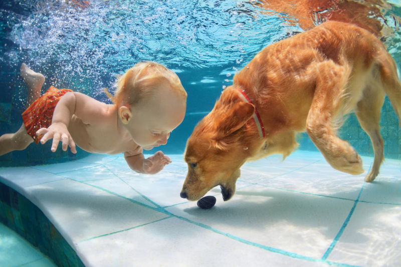 孩子和狗狗在水下玩耍