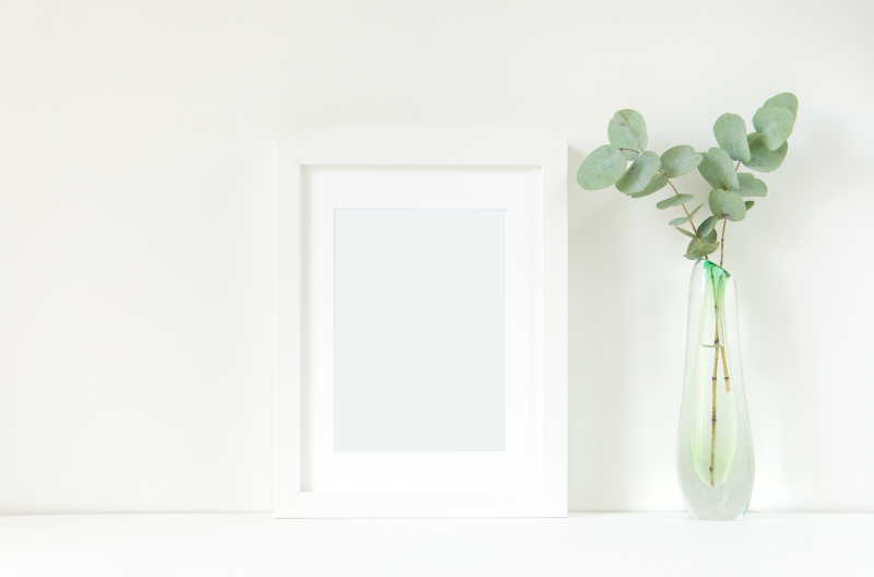 白色背景下的空白相框和绿植盆栽