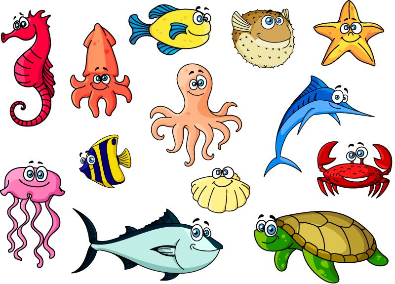 矢量的卡通海洋生物插画