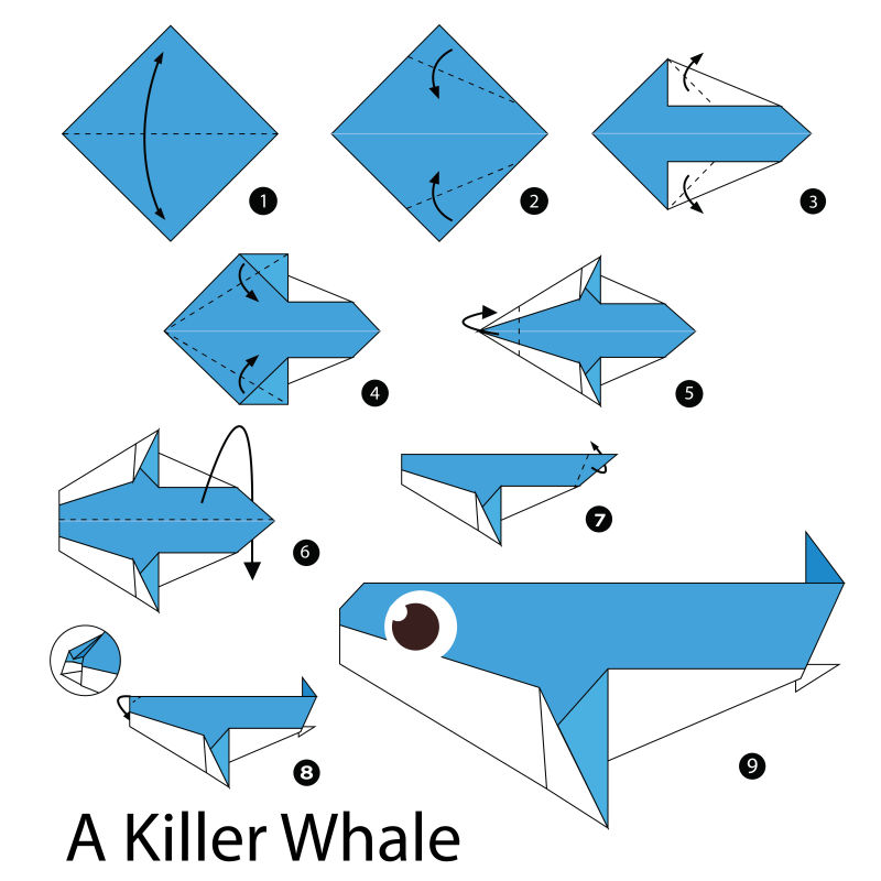 折纸虎鲸步骤的矢量图解