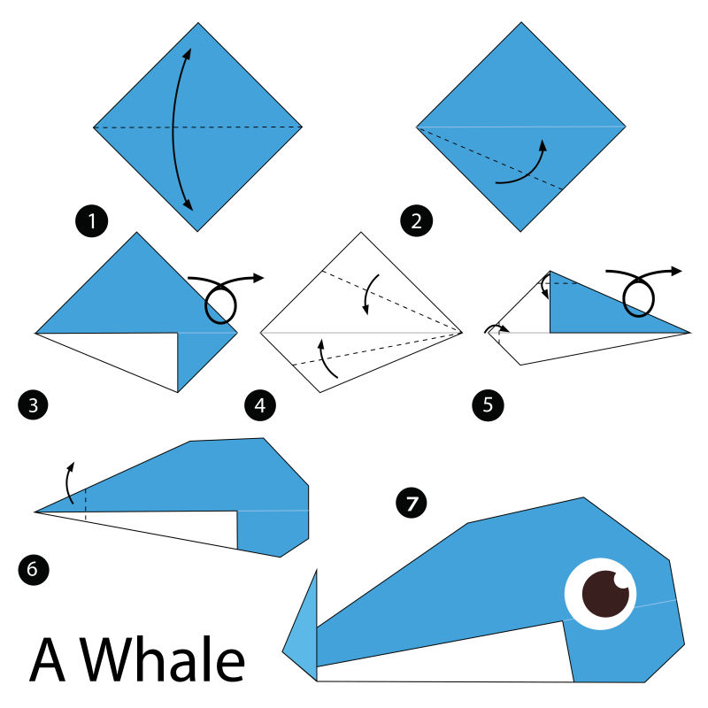 矢量折纸蓝鲸的步骤图解