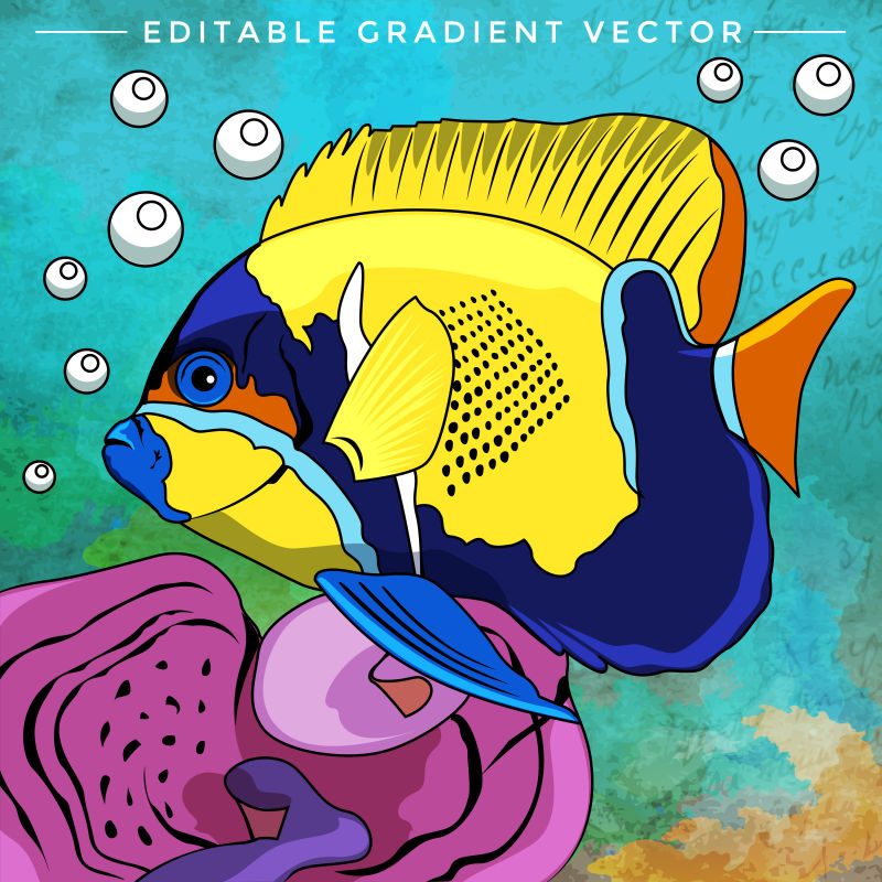 鱼缸里色彩斑斓的鱼矢量插画