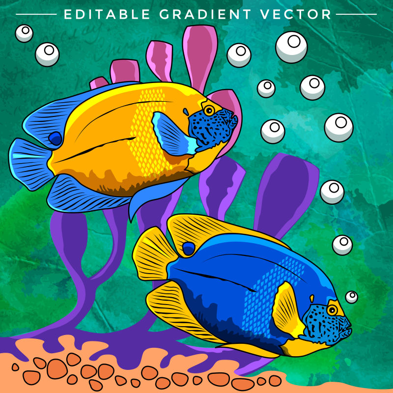 鱼缸里色彩鲜艳的鱼矢量插画